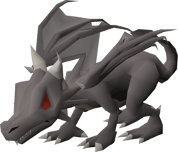 Baby black dragon.png